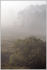 photo "morning fog"