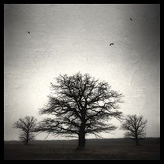 фото "3x3"