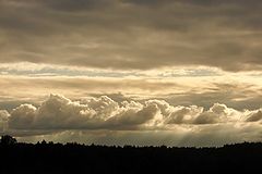 photo "***"