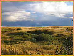 фото "Русское поле"