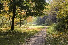 photo "Autumn"