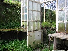 photo "Reclaimed"