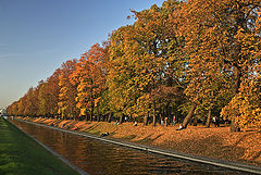 photo "Fall diagonally"
