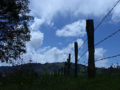 photo "private place"