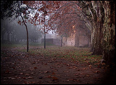 photo "through fog and autumn.."