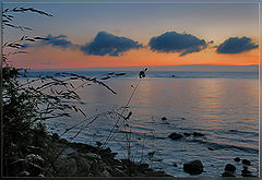 photo "***"