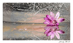 photo "***"