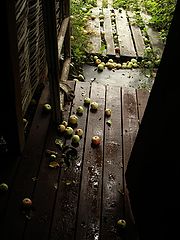photo "***"
