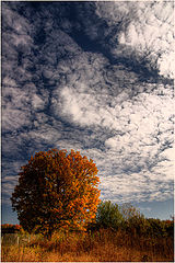 photo "***"