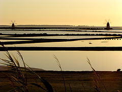 фото "Mills"