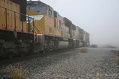 photo "Like a breath in the fog."