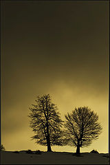 фото "Two of a kind"