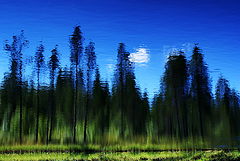 photo "***"