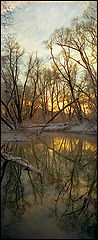 photo "***"