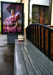 photo "***"
