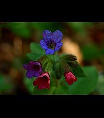 photo "colours on a place"