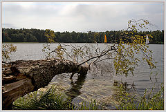 фото "Осенний лист."