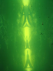 photo "try to find three crocodiles"