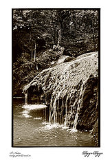 photo "***"