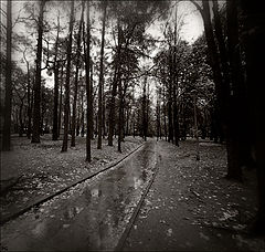 photo "***"