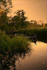 photo "***"