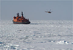 photo "ice patrol"