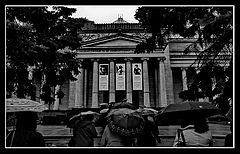 фото "To CoCo"