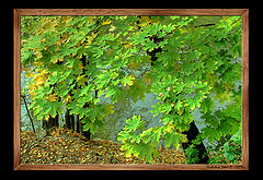 photo "Autumn"