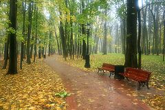 фото "Царицынская осень"