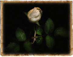 фото "old"