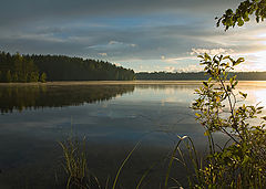 photo "***"