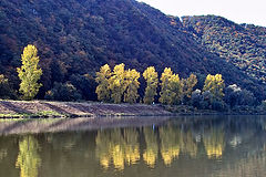 photo "Where does the Mosel fairy live ..."