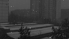 photo "***"