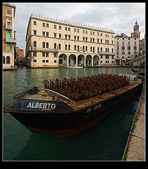 фото "Albert's bark"