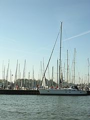 photo "Masts"