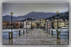 фото "Rain"