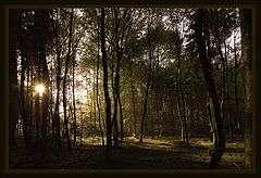 photo "***"