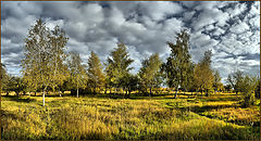 photo "October, 17"