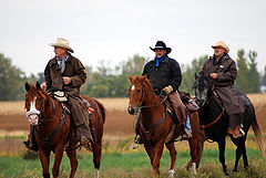 photo "Trail Riders"