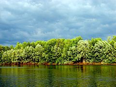 photo "Thunderstorm clouds"