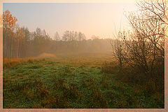 photo "***"