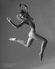 photo "flight"