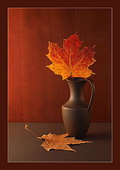 photo "***"