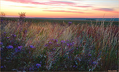 photo "At dawn. Steppe"