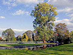 photo "An Autumn Mood"