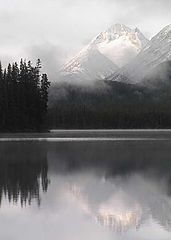 photo "Morning Light"