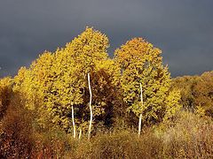 фото "Поздняя осень"
