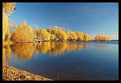 photo "autumn-2"