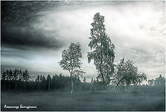 photo "***"