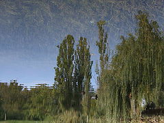 photo "***"